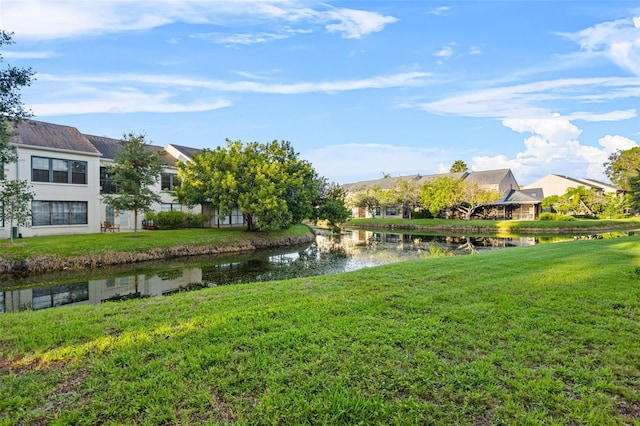 2460 Heron Ter Unit E101, Clearwater, FL 33762 - photo 13