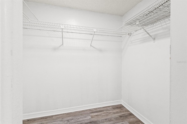 2460 Heron Ter Unit E101, Clearwater, FL 33762 - photo 24