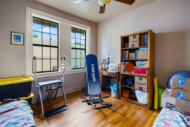 office featuring ceiling fan and light hardwood / wood-style floors