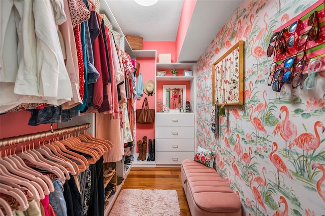 spacious closet featuring light hardwood / wood-style flooring