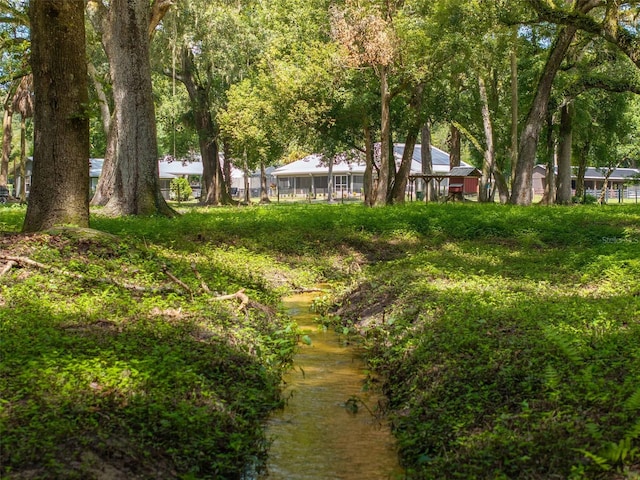 view of yard with a water view