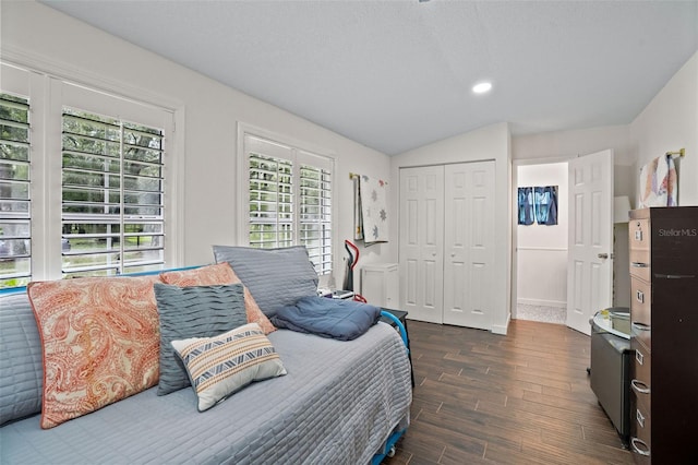 bedroom featuring lofted ceiling, a closet, and dark hardwood / wood-style floors