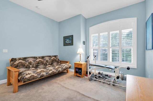 living room with carpet floors and baseboards