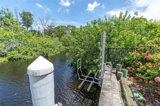 dock area with a water view