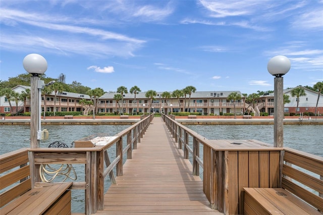 dock area with a water view