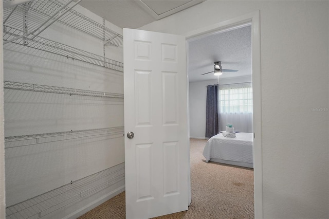 200 Country Club Dr Unit 1004, Largo, FL 33771 - view of closet