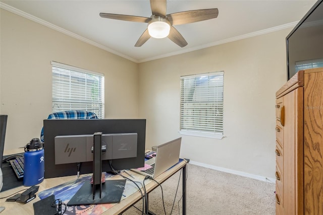 office space with crown molding, ceiling fan, and carpet floors