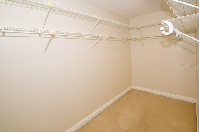 spacious closet featuring light carpet