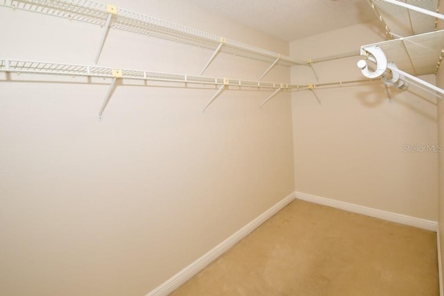 walk in closet featuring light colored carpet