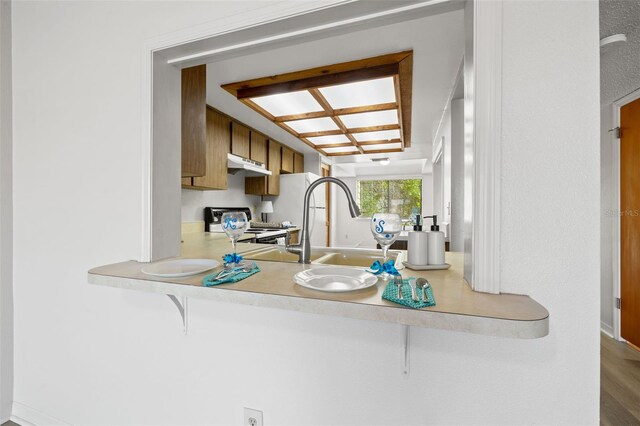 kitchen with wood-type flooring, sink, and range with electric stovetop