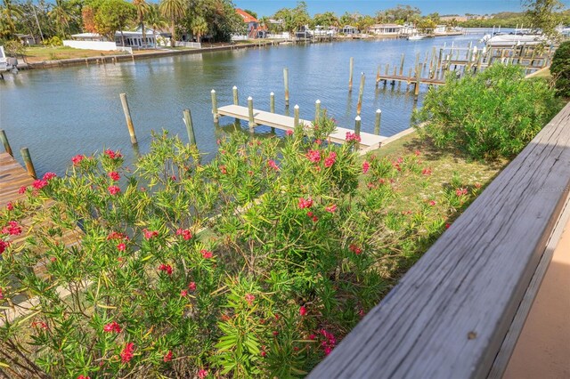 dock area with a water view