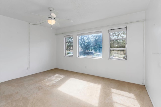 empty room featuring ceiling fan and carpet floors