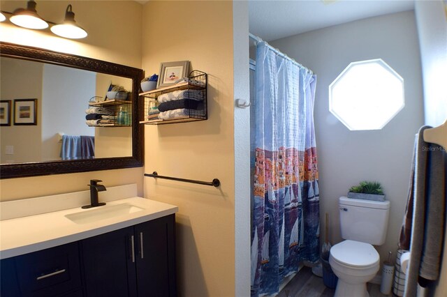 bathroom featuring vanity, toilet, and a shower with curtain