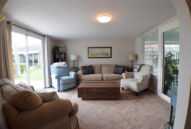 view of carpeted living room