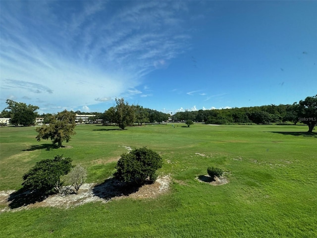 view of community featuring a lawn