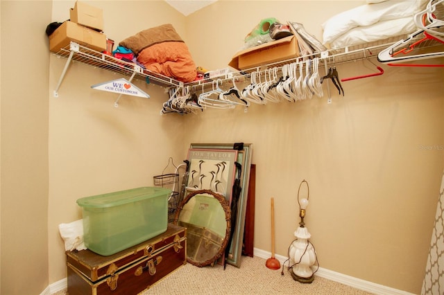 spacious closet featuring carpet floors