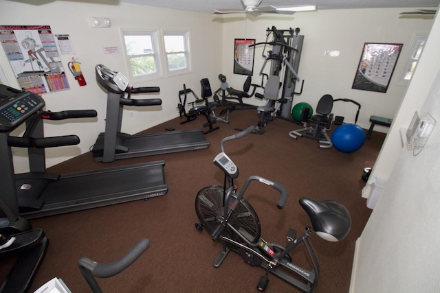 gym featuring ceiling fan