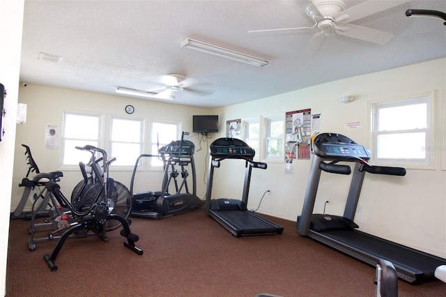 workout area with ceiling fan, a textured ceiling, and carpet