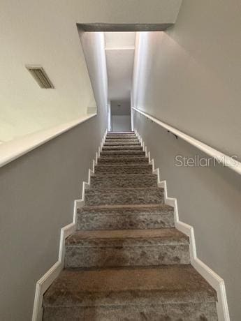 staircase featuring carpet flooring