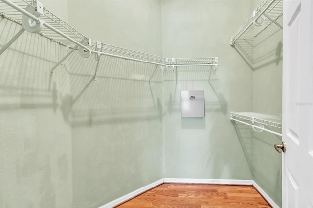 walk in closet with wood finished floors