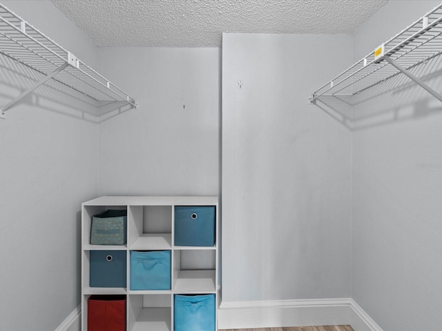 walk in closet featuring hardwood / wood-style floors