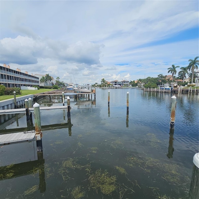 dock area with a water view