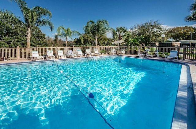 view of swimming pool