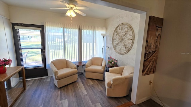 living area featuring dark hardwood / wood-style floors and ceiling fan