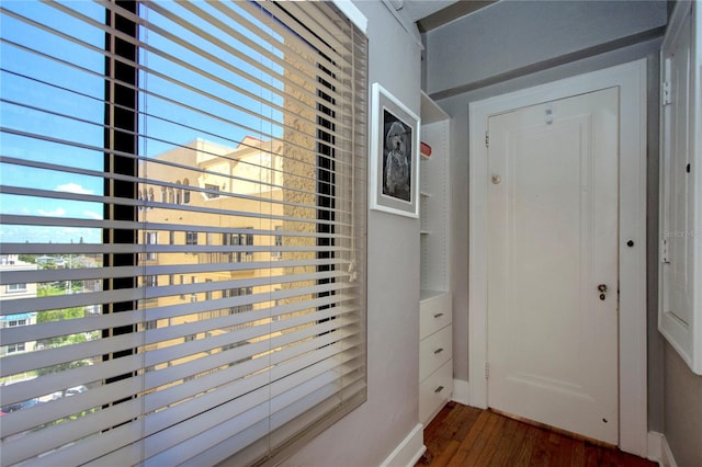 interior space with dark hardwood / wood-style floors