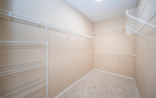 spacious closet with carpet flooring