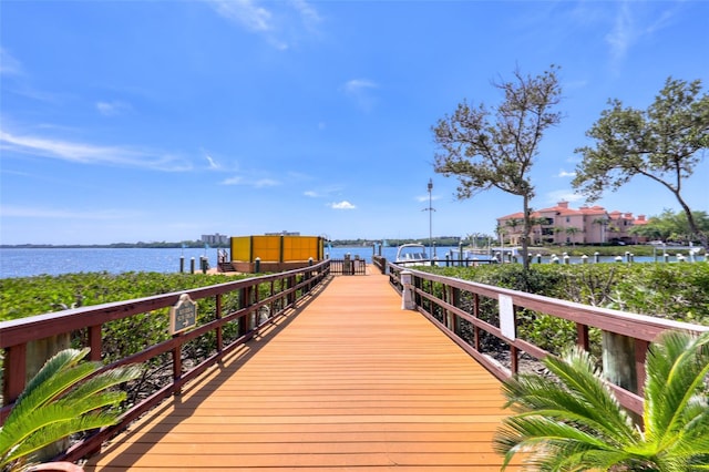 dock area with a water view