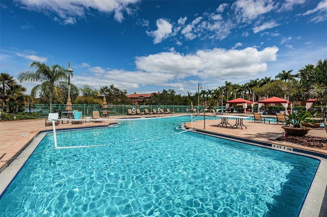 view of pool with a patio area