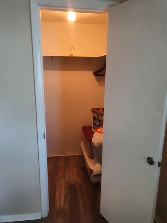 spacious closet featuring dark wood-type flooring