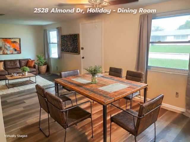 dining room with dark hardwood / wood-style flooring