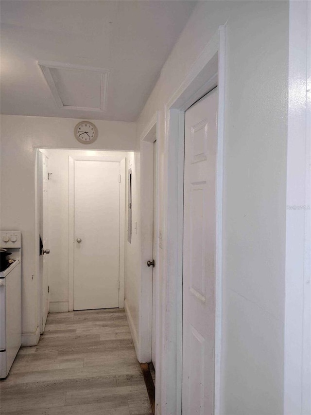 hallway with light hardwood / wood-style flooring