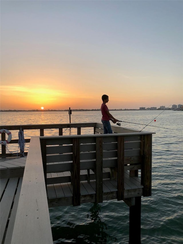 dock area with a water view