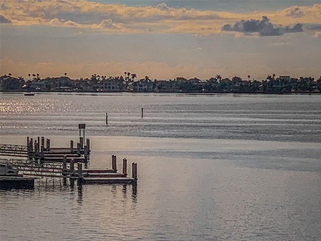 dock area with a water view