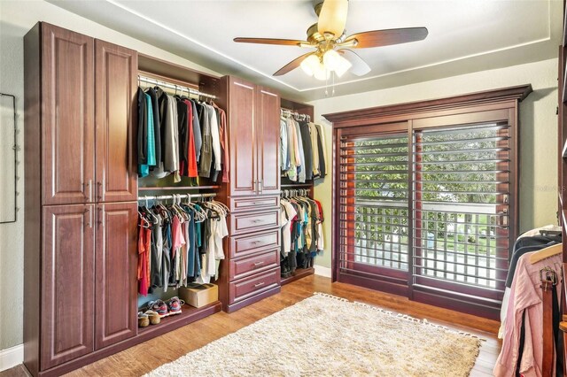 walk in closet featuring light wood-type flooring and ceiling fan