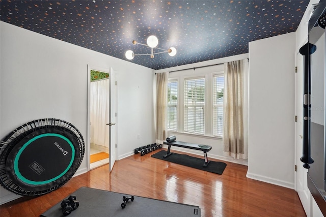 exercise room featuring hardwood / wood-style floors