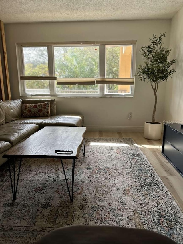 living room featuring hardwood / wood-style flooring and a textured ceiling