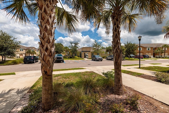 17860 Althea Blue Pl, Lutz, FL 33558 - photo 32