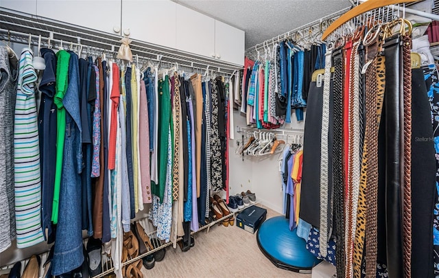 walk in closet featuring carpet floors