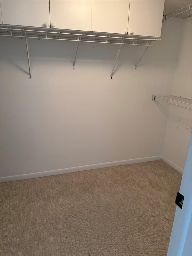 walk in closet featuring carpet floors