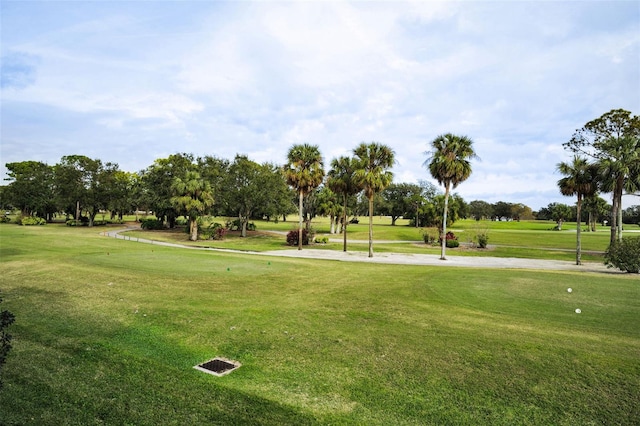 3021 Countryside Blvd Unit 28A, Clearwater, FL 33761 - view of community featuring a yard