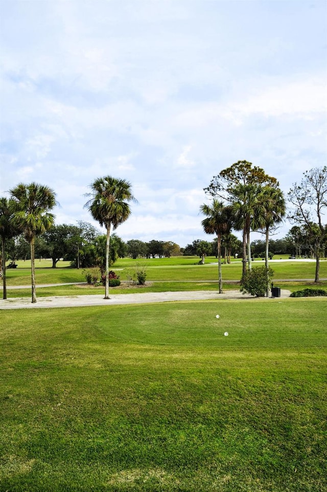 3021 Countryside Blvd Unit 28A, Clearwater, FL 33761 - view of property's community featuring a lawn