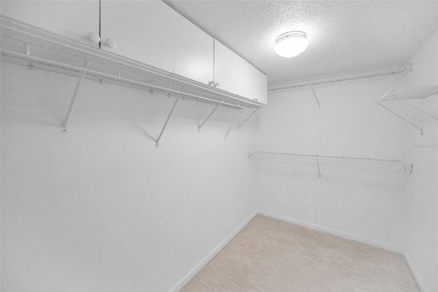 3021 Countryside Blvd Unit 28A, Clearwater, FL 33761 - spacious closet featuring light carpet