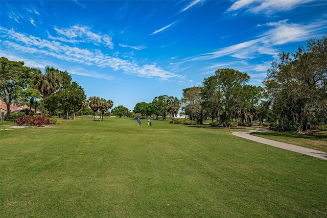 3021 Countryside Blvd Unit 28A, Clearwater, FL 33761 - view of property's community featuring a yard
