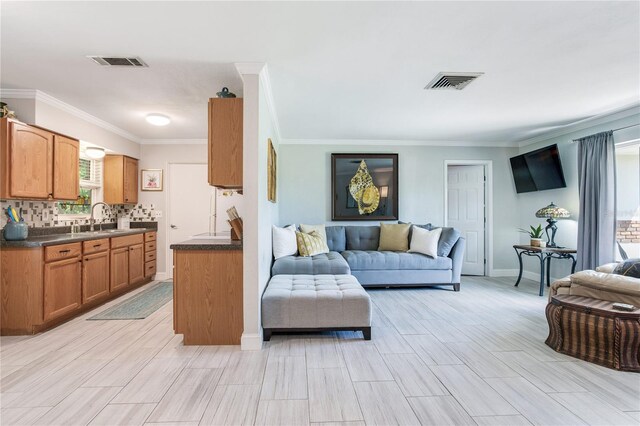 living room featuring sink and ornamental molding