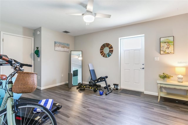 exercise room featuring dark hardwood / wood-style flooring and ceiling fan