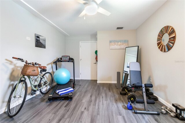 exercise room with hardwood / wood-style floors and ceiling fan